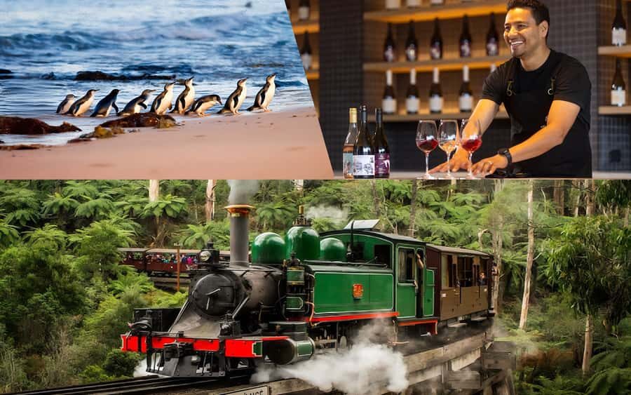 Puffing Billy Penguin Parade Mercedes Minibus Hotel Pickup - What Makes This Tour Stand Out?