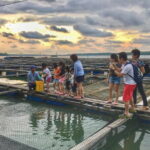 Pulau Ketam (Crab Island) Tour from Kuala Lumpur including Lunch - The Experience and Value