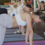 Puppy Yoga Bali, Ubud - 1 Thing to Do in Bali - The Itinerary in Detail