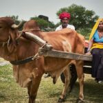 Pushkar/Ajmer: Devmali Rural Village Day Tour - Practical Tips for Taking the Tour