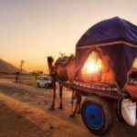 Pushkar Cultural Day Trip from Jaipur - Final Thoughts: Who Should Consider This Tour?