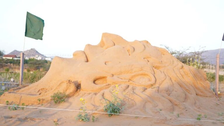 Pushkar: Live Sand Art Experience - FAQ