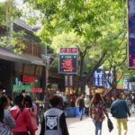 Qin Dynasty In-Depth Discovery and Muslim Quarter Visit in Xian - Practical Details and Tips