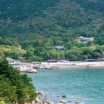 Qingdao Laoshan Coastal Adventure: Mountains, Temples & Tea - What to Expect on the Tour