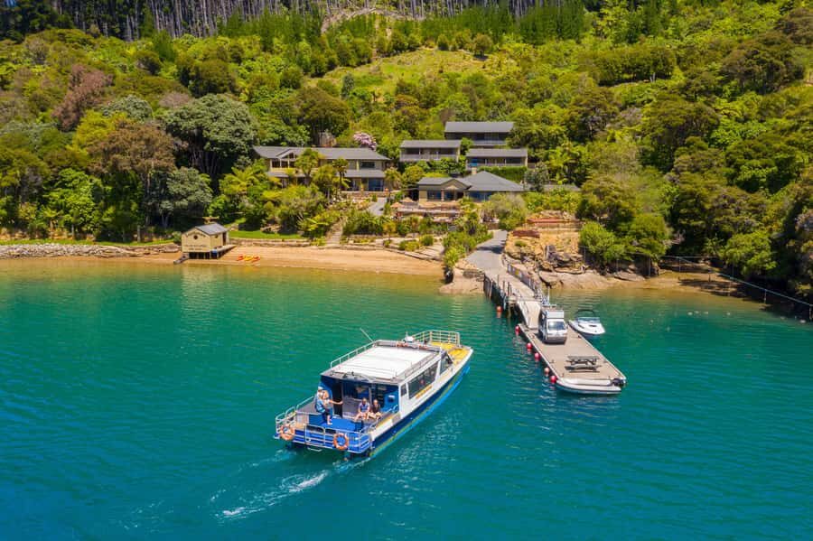 Queen Charlotte Sound: Lochmara Cruise and Explore 9-4 - Exploring Lochmara’s 11 Acres of Nature and Art