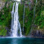Queenstown: Milford Sound Private Tour - The Crown Jewel: Milford Sound
