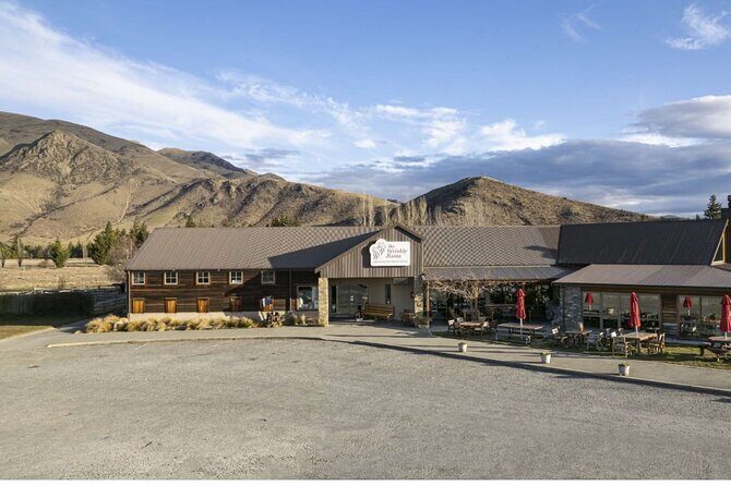 Queenstown to Lake Tekapo via Mt Cook Private Day Tour - An In-Depth Look at the Tour Experience