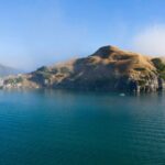 Raglan Scenic Nature Boat Cruise - Why This Cruise Is a Great Choice