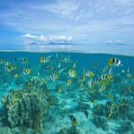 Raiatea & Tahaa Lagoon Cruise: Private Shore Tour - Overview of the Lagoon Adventure