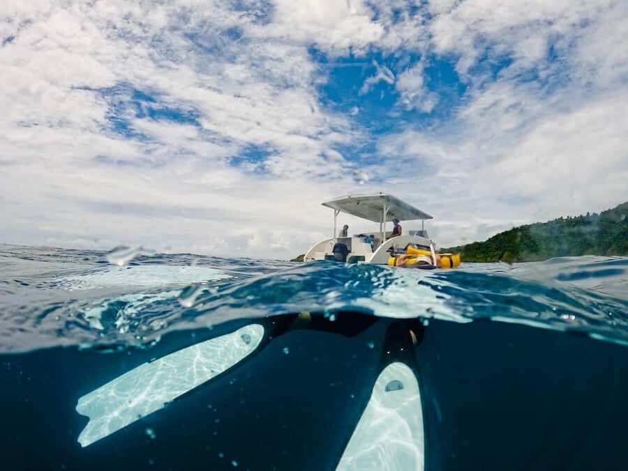 Railay: AIDA 1 or 2 Days Discover Freediving Courses - Final Thoughts