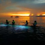 Railay: Illuminated Clear Kayak Night Tour Bioluminescence - Authentic Moments from Other Travelers