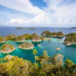 Raja Ampat Tour 14 Days  Explore Papuas Ocean Paradise - Who is This Tour Best Suited For?