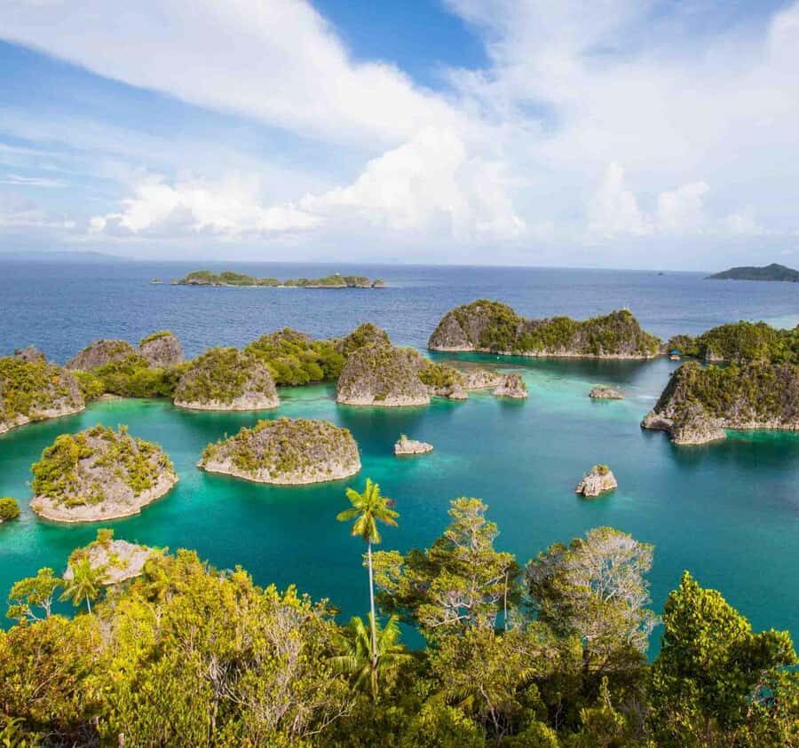 Raja Ampat Tour 14 Days  Explore Papuas Ocean Paradise - Who is This Tour Best Suited For?