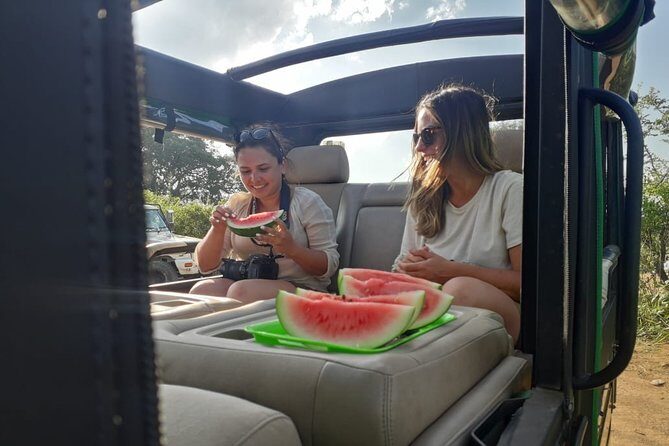 Rangiri Jeep Safari Sigiriya Lion Rock & Evening Jeep Safari - What to Expect at Each Stop