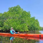 Rangko Kayaking Adventure - What Makes This Tour Stand Out?