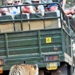 Ranthambore National Park 20 Seater Canter Safari Booking - Why Choose This Safari?