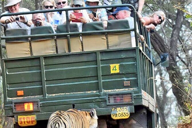 Ranthambore National Park 20 Seater Canter Safari Booking - Why Choose This Safari?