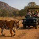 Ranthambore National Park: canter safari ticket with guide - The Experience: From Booking to End