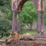 Ranthambore National Park Private Jeep Safari All inclusive - The Itinerary: A Closer Look