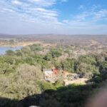 Ranthambore Tiger Reserve: jeep & canter Safari booking now - Who Is This Tour Best Suited For?