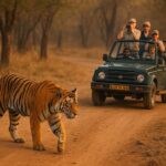 Ranthambore Tiger Safari in Open canter with Wildlife Guide - Discovering Ranthambore: A Wildlife Haven