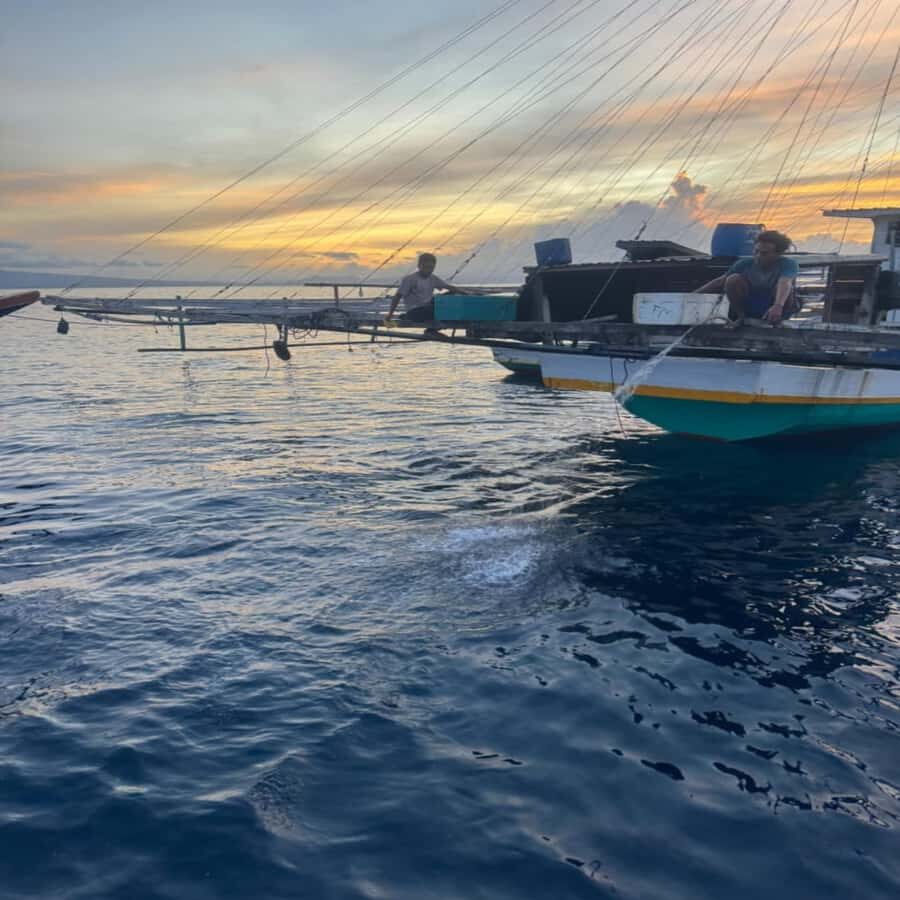 Regular Daily Sumbawa Whale Sharks One Day Tour - Detailed Breakdown of the Itinerary