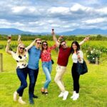 Relaxed Half Day Yarra Valley Wine Tasting Tour from Melbourne - The Itinerary Breakdown: What to Expect