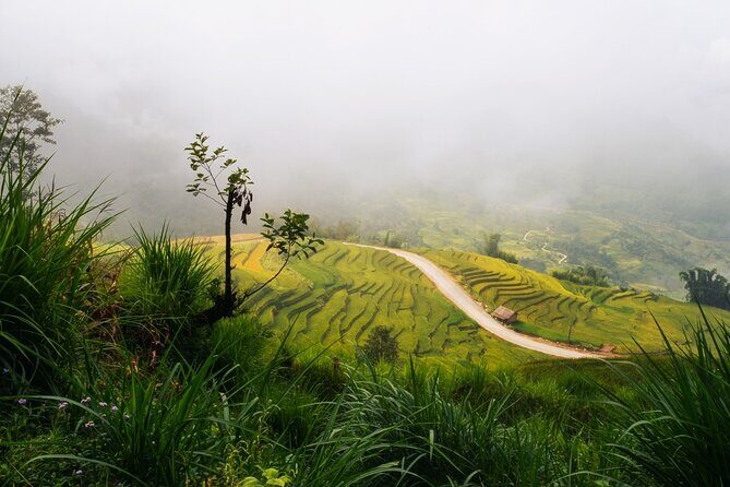 Remote Sapa Tour in Countryside of Nam Cang  Nam Nhiu Villages - The Practical Details
