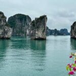 Renea Cruise Best Boutique Cruise 2 Days 1 Night in Bai Tu Long - Food & Beverage