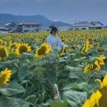 Rent a bike Let's go see the sunflowers in Mannou Town with an electrically assisted e-bike!Introducing Recommendation routes for sunflower producers. - Final Thoughts