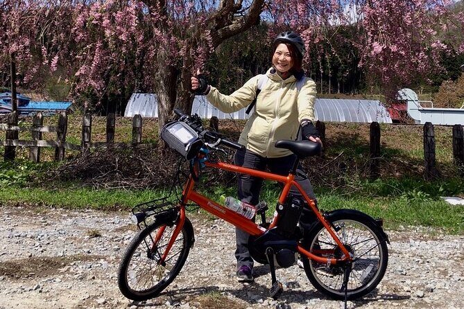 Rental Bicycle with Electric Assist / Satoyama Cycling Tour - Who Is This Tour Best For?