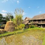 Rice is Life Experience & Kuang Si Waterfall - Luang Prabang full day tour - Why This Tour Works