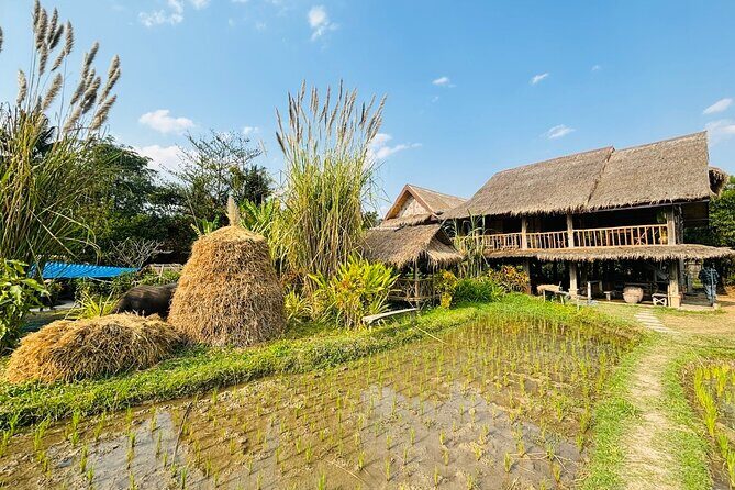 Rice is Life Experience & Kuang Si Waterfall - Luang Prabang full day tour - Why This Tour Works