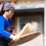 Rice Processing Workshop in Mai Chau - Who Should Consider This Tour?