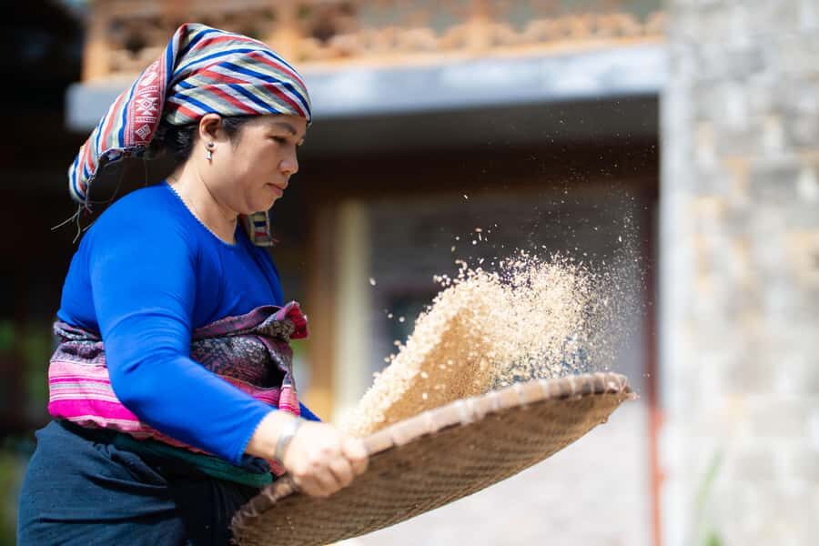 Rice Processing Workshop in Mai Chau - Who Should Consider This Tour?