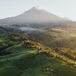 Rice Terrace, Temple, Ulu Petanu Waterfall with Pro Photographer - Who Is This Tour Best For?