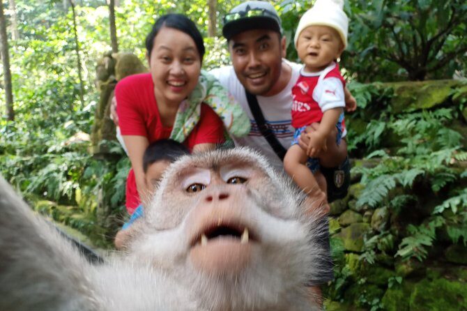 Rice terrace tour and Ubud area tour - Practical Considerations