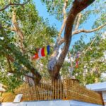 Ride Through Ruins: Anuradhapura Day Tour by Tuk Tuk - What travelers should keep in mind