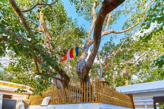 Ride Through Ruins: Anuradhapura Day Tour by Tuk Tuk - What travelers should keep in mind