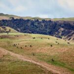 River Valley Lodge: High Country Enchantment Horse Trek - The Experience in Action