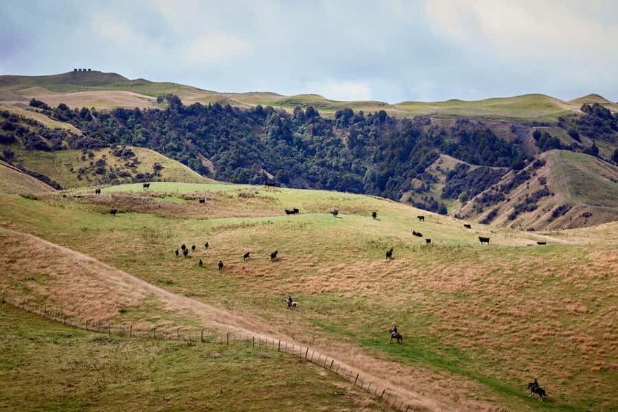 River Valley Lodge: High Country Enchantment Horse Trek - The Experience in Action