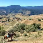 River Valley Stables - Burn The Breeze, Half Day Horse Ride For Riders - Who Should Consider This Tour?
