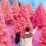 Romantic tour : Cherry blossom days in spring from Seoul - Why This Tour Is Worth Considering