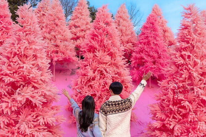 Romantic tour : Cherry blossom days in spring from Seoul - Why This Tour Is Worth Considering
