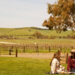 Romantic Vineyard Horse Riding and Picnic - What Travelers Are Saying (Based on Reviews)