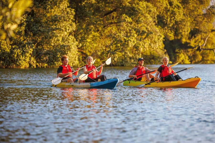 Rotorua: Glow Worm Adventure Kayak - Who Would Love This Tour?