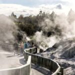 Rotorua: Glowworm Cave, Redwoods Forest & Te Puia Tour - An In-Depth Look at the Rotorua Tour