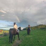 Rotorua: Scenic Horse Trek - Discovering Rotorua’s Beauty on Horseback