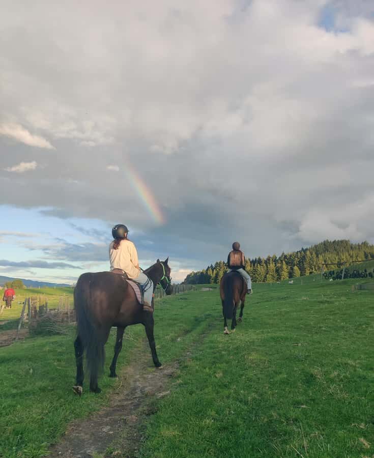 Rotorua: Scenic Horse Trek - Discovering Rotorua’s Beauty on Horseback