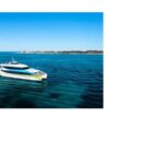 Rottnest Island Ferry and 1.75 Hr Bus Tour - Who Is This Tour Best For?